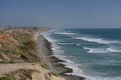 DSC_6981 (Large).JPG